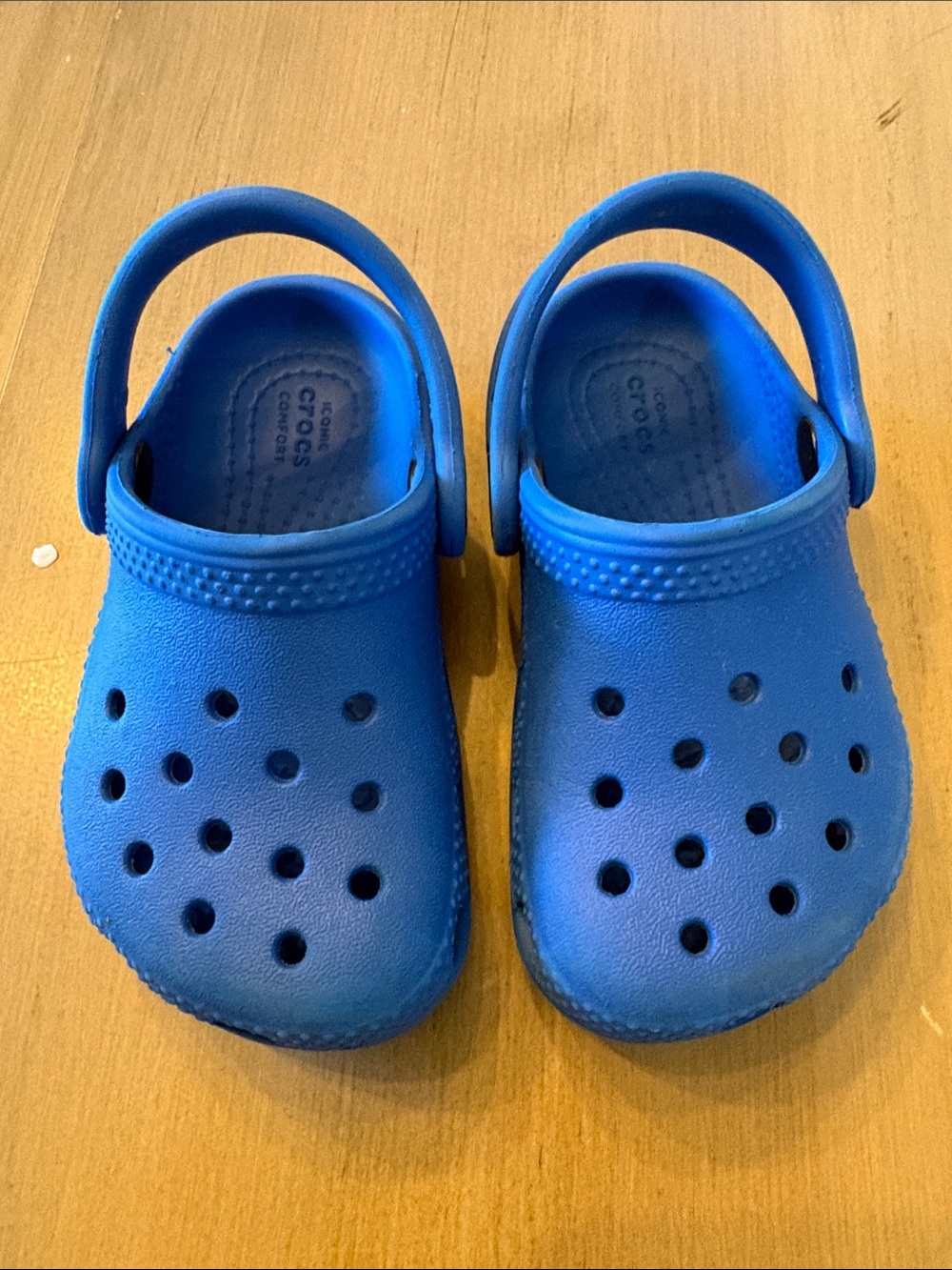 CROCS Toddler Lightweight Clog in Blue - 6 - Gently Used